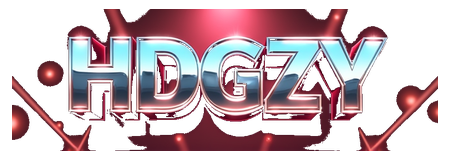 bdt hgzy logo